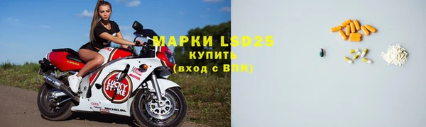 эйфоретик Аркадак