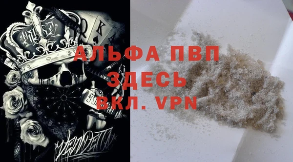 эйфоретик Аркадак
