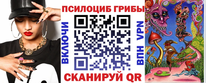 OMG вход  Сураж  Псилоцибиновые грибы прущие грибы 